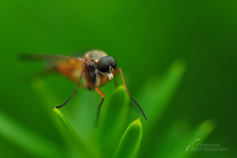 DSC_5474.jpg