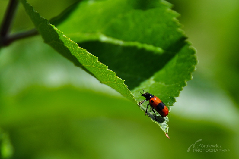 DSC_5630.jpg