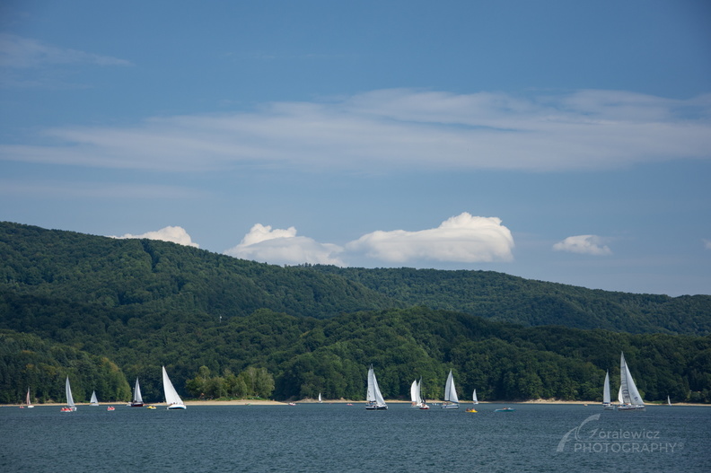 DSC_6115.jpg